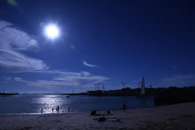 DSC_0838 (Large).JPG